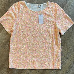 J. Crew Pink and White Sequin Short Sleeve Top